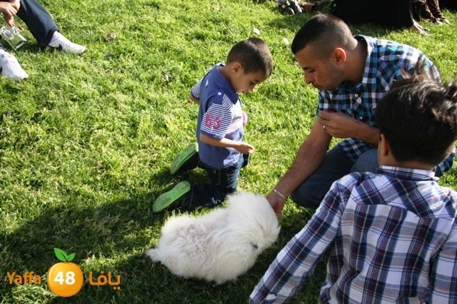 3edmelad321 (14).JPG